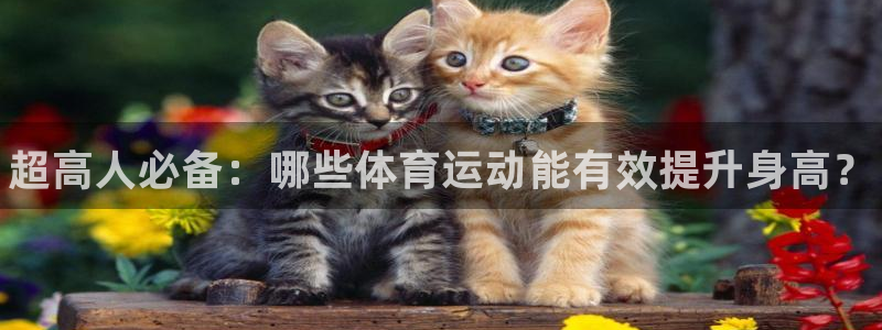 JJB竞技宝官网下载开户：超高人必备：哪些体育运动能