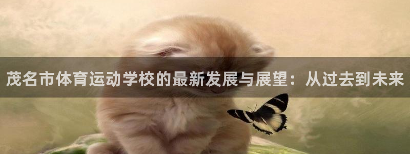 JJB竞技宝官方正版app娱乐40996：茂名市体育