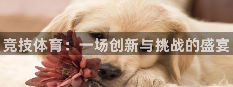 JJB竞技宝官网下载招商电话是多少号码：竞技体育：一