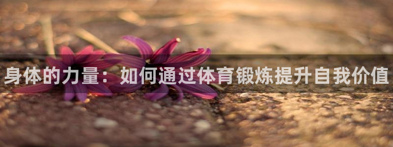 JJB竞技宝官网下载软件