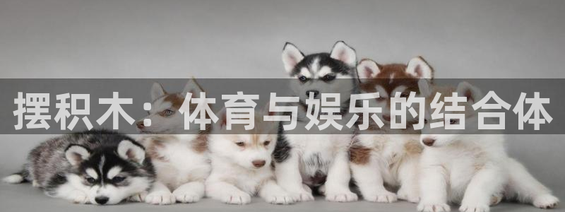 JJB竞技宝官网下载平台是正规平台吗安全吗：摆积木：