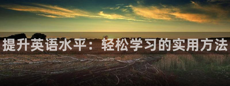 JJB竞技宝官方正版app娱乐平台：提升英语水平：轻