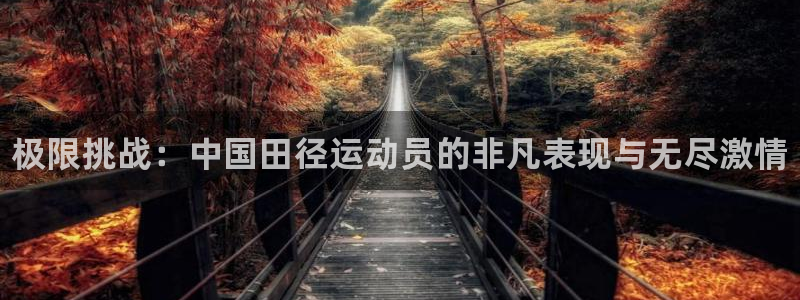 JJB竞技宝官方正版app娱乐代理怎么样：极限挑战：中国田径