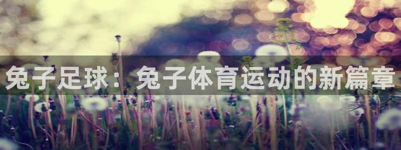 JJB竞技宝官网下载官方客服电话：兔子足球：兔子体育运动的新
