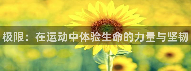 JJB竞技宝官方正版app集团官网首页网址