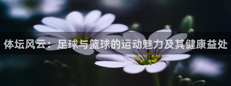 JJB竞技宝官网下载平台是正规平台吗：体坛风云：足球与篮球的