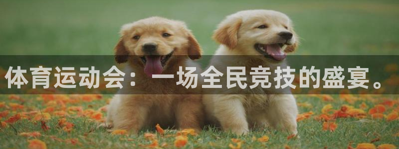 JJB竞技宝官方正版app娱乐网站：体育运动会：一场全民竞技