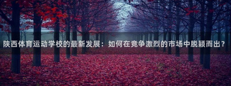 JJB竞技宝官网下载平台：陕西体育运动学校的最新发展：如何在