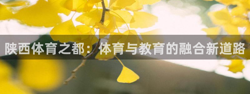 JJB竞技宝官网下载软件：陕西体育之都：体育与教育的融合新道