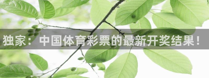 龙门镖局1.5在线观看免费完整版：独家：中国体育彩票的最新开奖结果！