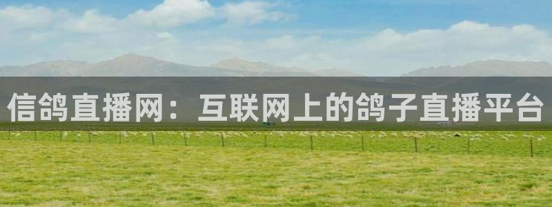 nba直播免费观看直播在线龙门：信鸽直播网：互联网上的鸽子直播平台
