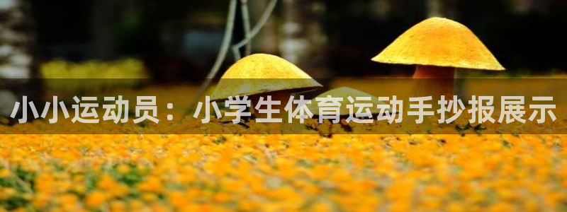 JJB竞技宝官网下载平台注册流程图：小小运动员：小学