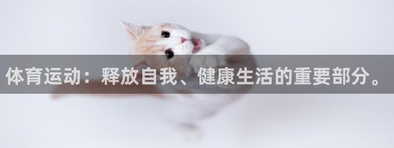 JJB竞技宝官方正版app集团E.ON