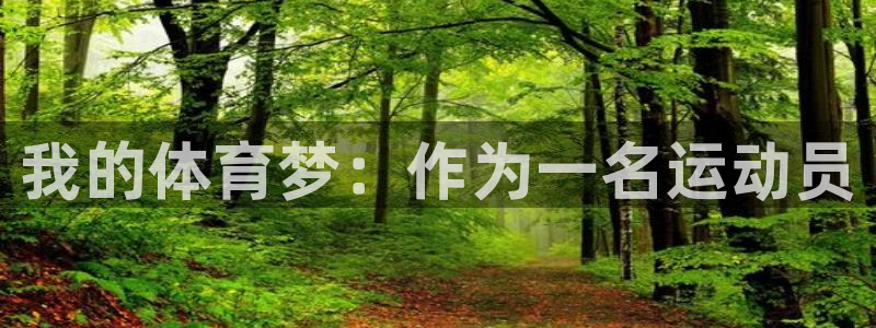 JJB竞技宝官网下载招商电话：我的体育梦：作为一名运