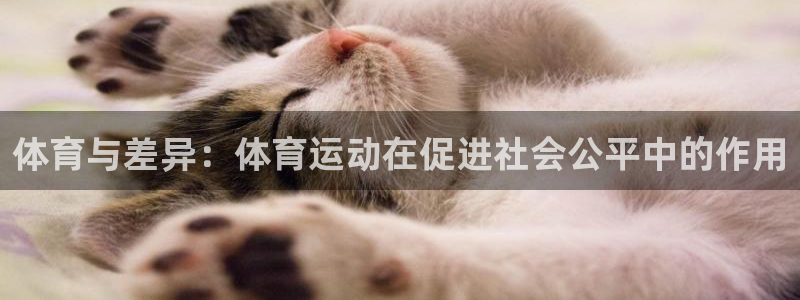 JJB竞技宝官网下载软件：体育与差异：体育运动在促进