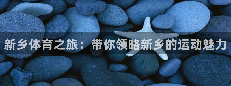 JJB竞技宝官方正版app五金厂