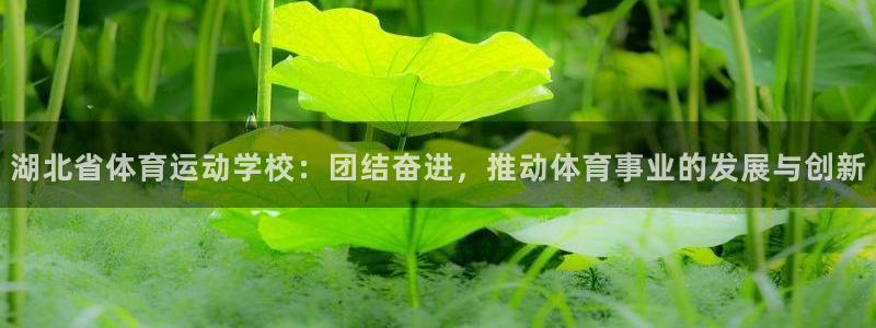 JJB竞技宝官网下载平台假的吗是真的吗