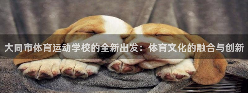 JJB竞技宝官方正版app集团官网首页：大同市体育运