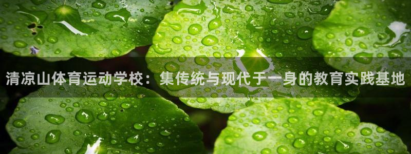 JJB竞技宝官方正版app娱乐首页网站大全:清凉山体育运动学