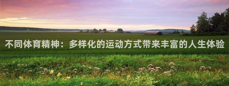 JJB竞技宝官方正版app五金厂:不同体育精神:多样化的运动