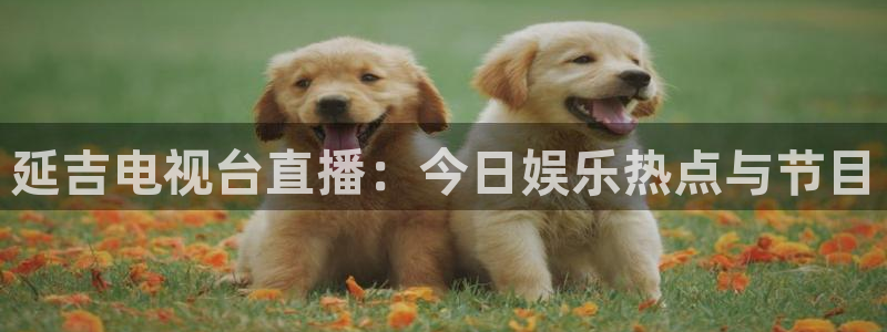 龙门直播在线直播：延吉电视台直播：今日娱乐热点与节目