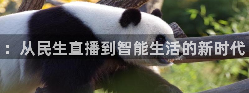 龙门直播官网：：从民生直播到智能生活的新时代