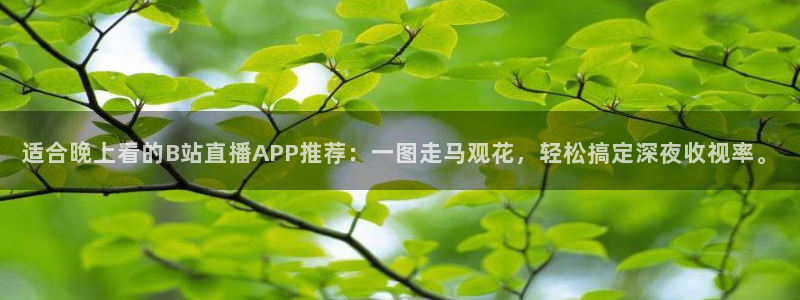 龙门视频：适合晚上看的B站直播APP推荐：一图走马观花，轻松搞定深夜收视率。